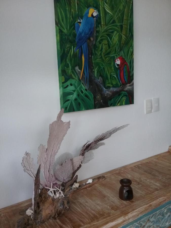 Casa Rioja Playacar Bed & Breakfast Playa del Carmen Luaran gambar