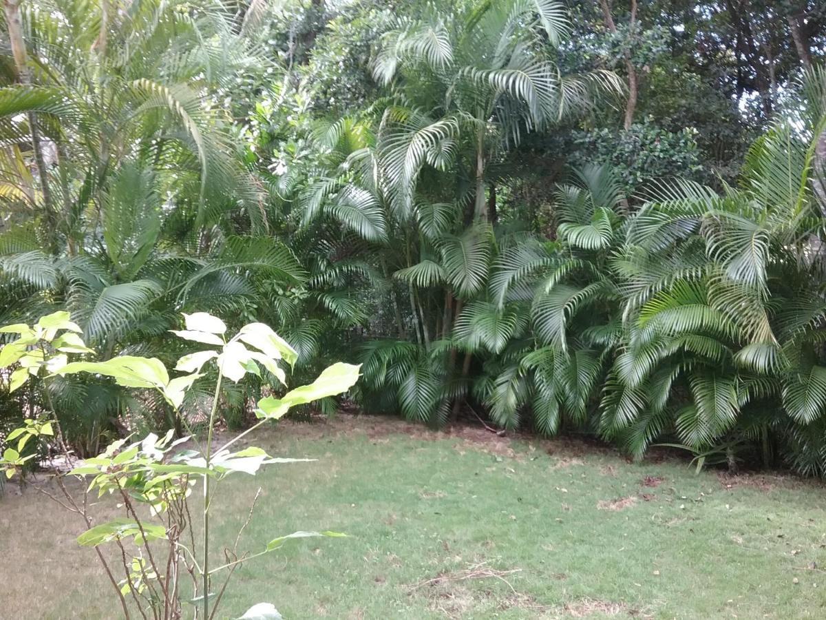Casa Rioja Playacar Bed & Breakfast Playa del Carmen Luaran gambar