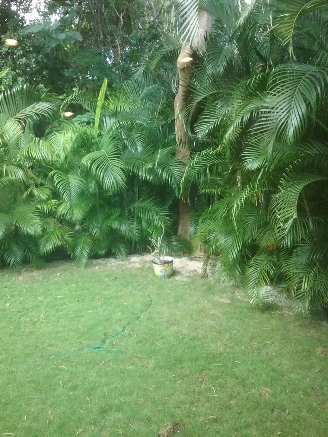 Casa Rioja Playacar Bed & Breakfast Playa del Carmen Luaran gambar